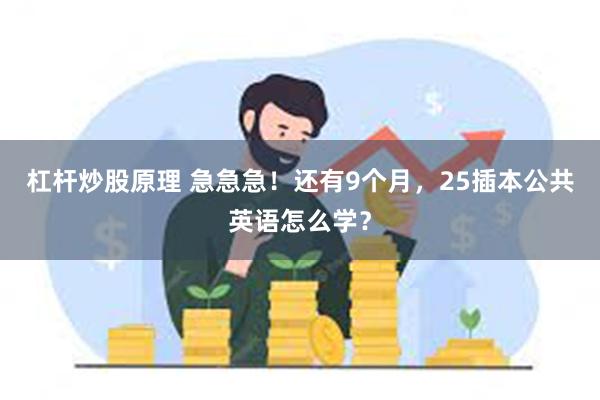 杠杆炒股原理 急急急！还有9个月，25插本公共英语怎么学？