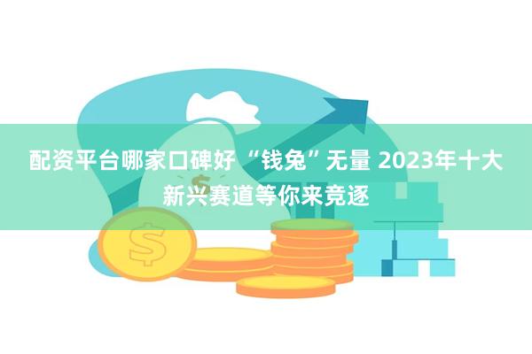 配资平台哪家口碑好 “钱兔”无量 2023年十大新兴赛道等你来竞逐