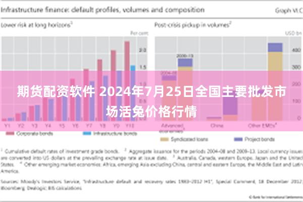 期货配资软件 2024年7月25日全国主要批发市场活兔价格行情