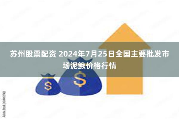 苏州股票配资 2024年7月25日全国主要批发市场泥鳅价