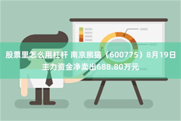 股票里怎么用杠杆 南京熊猫（600775）8月19日主力资金