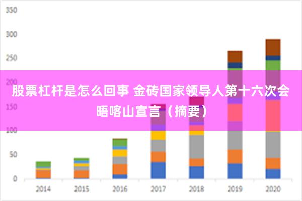 股票杠杆是怎么回事 金砖国家领导人第十六次会晤喀山宣言（摘要）