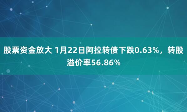 股票资金放大 1月22日阿拉转债下跌0.63%，转股溢价率56.86%