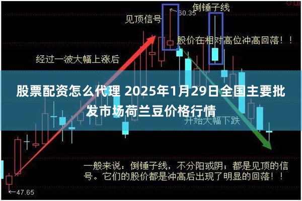 股票配资怎么代理 2025年1月29日全国主要批发市场荷兰豆价格行情