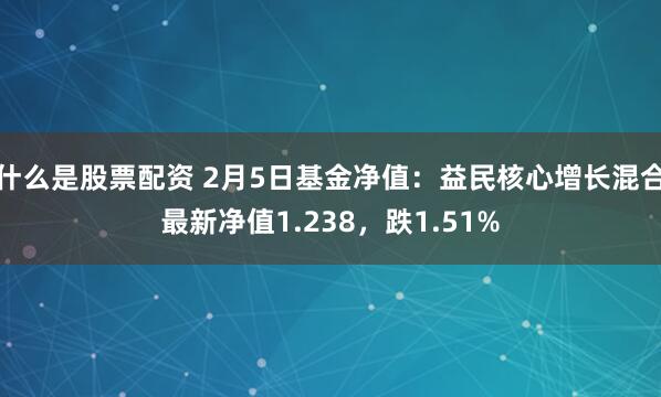 什么是股票配资 2月5日基金净值：益民核心增长混合最新净值1.238，跌1.51%