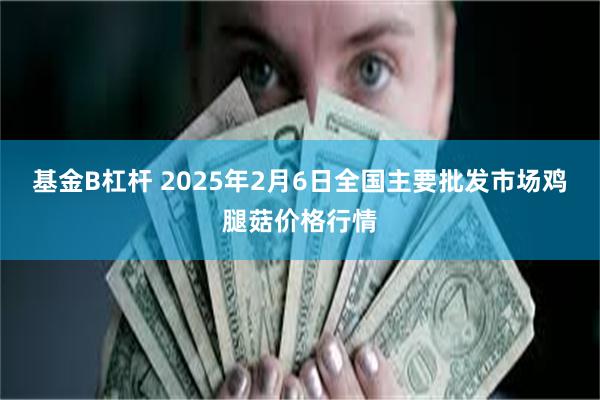 基金B杠杆 2025年2月6日全国主要批发市场鸡腿菇价格行情