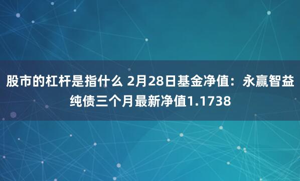 股市的杠杆是指什么 2月28日基金净值：永赢智益纯债三个月最新净值1.1738