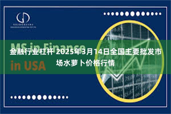 金融行业杠杆 2025年3月14日全国主要批发市场水萝卜价格行情